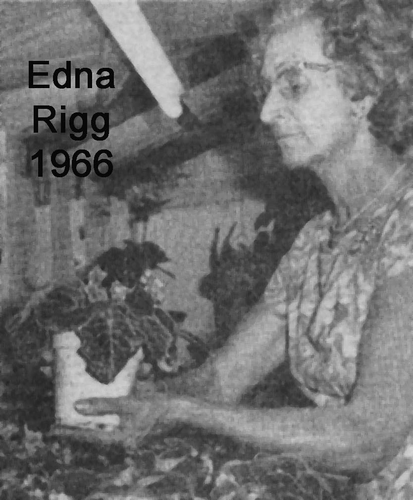 Elsa Riggs Home | African Violet Society of Qld Inc